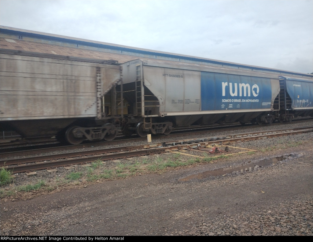 RUMO HTT-844028-5